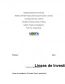 Líneas de Investigación. (Concepto. Pasos. Importancia)