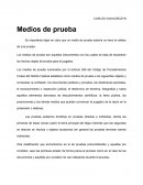 CARLOS VAN KURCZYN Medios de prueba