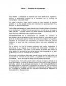 Ensayo simulador de microempresa