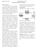 SISTEMA DE CHAGRAS Y TAPADOS