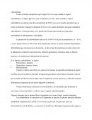 Carbohidratos. La proporción de carbohidratos