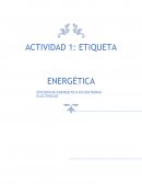 Actividad Eficiencia energetica en sistemas electricos