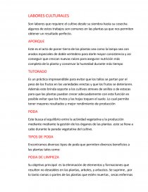 LABORES CULTURALES. APORQUE. Página 1