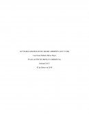 EVALUACIÓN DE IMPACTO AMBIENTAL Los Objetivos de la ley 19300