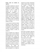 Ensayo modelo de negocios