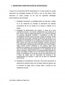 DEFINICIÓN E IDENTIFICACIÓN DE ESTRATEGIAS