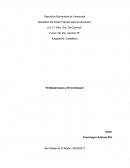El modernismo y el criollismo