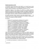 Industria automotriz Chile