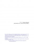 INGENIERIA DE LA REACCION QUÍMICA