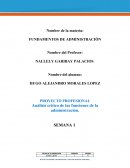 PROYECTO PROFESIONAL Análisis crítico de las funciones de la administración