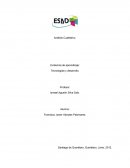 Análisis Cualitativo. Evidencia de aprendizaje: Tecnologías y desarrollo