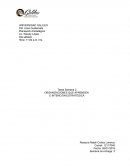 ORGANIZACIONES QUE APRENDEN E INTENCIÓN ESTRATÉGICA