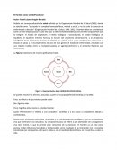 El Hombre como ser BioPscoSocial