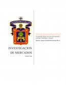 INVESTIGACIÓN DE MERCADO CERVEZA ARTESANAL