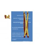 Analisis e insterpretación de estados financieros