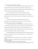 El vientre materno: gemelos, trillizos y cuatrillizos