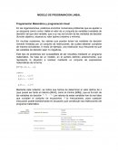 MODELO DE PROGRAMACION LINEAL Programación Matemática y programación lineal