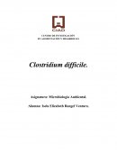 Clostridium INTRODUCCIÓN.