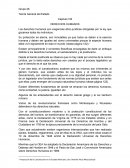 Teoría General del Estado Capitulo VIII