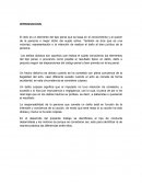 Tipos de delito. El dolo