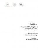 Angulos Euler y RPY