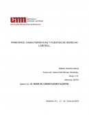 PRINCIPIOS, CARACTERISTICAS Y FUENTES DE DERECHO LABORAL