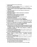 ¿Por qué la clasificacion de angle es poco aceptada por otros autores?