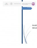 Analizador Wireshark