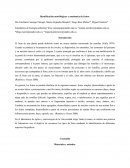 Identificación morfológicas y anatómica de frutos