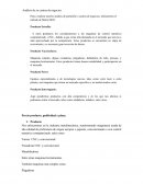 ﻿Análisis de su cartera de negocios