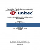 El derecho y su importancia