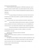 Características: DUELO EN LOS ADOLESCENTES