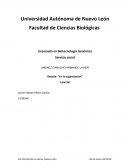 Reseña: “En la organización”