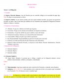 Guias para Obligaciones