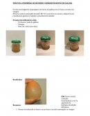 PRÁCTICA: FENÓMENO DE DIFUSIÓN Y ÓSMOSIS EN HUEVO DE GALLINA