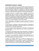 Rendimiento escolar y laboral