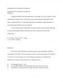 Interpretación de los fenómenos de migración