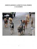 DISPENSADOR DE ALIMENTO PARA PERROS CALLEJEROS