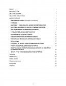 Enfermeria ANATOMIA Y FISIOLOGIA DEL APARATOR REPRODUCTOR