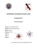 Quimica Algunas alternativas para la solución de el deshielo en los polos amenaza el clima de México serían: