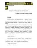 Incidentes en materia civil LIC. MARÍA GUADALUPE MARTÍNEZ GARCÍA