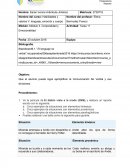 Habilidades y valores V: lenguaje, emoción y cuerpo