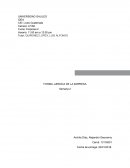 FORMA JURIDICA DE LA EMPRESA