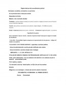 Reglas básicas del procedimiento judicial