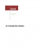 El pulgar del panda El pulgar del panda