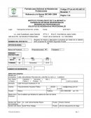 Mi ensayo SOLICITUD DE RESIDENCIAS PROFESIONALES