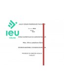 TEMAS ELEMENTALES DE ADMINISTRACION