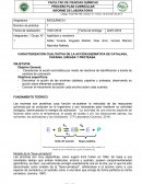 CARACTERIZACIÓN CUALITATIVA DE LA ACCIÓN ENZIMÁTICA DE CATALASA, PAPAINA, UREASA Y PROTEASA.