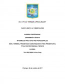 NIVEL TERMINAL PRESENTADO COMO REQUISITO PARA PRESENTAR EL TITULO DE PROFESIONAL TÉCNICO