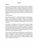 Caso Zara Problema y Solución
